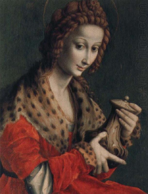 La Maddalena, unknow artist